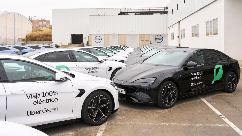 moove cars fleet